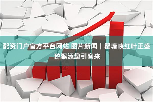 配资门户官方平台网站 图片新闻｜瞿塘峡红叶正盛 猕猴添趣引客来