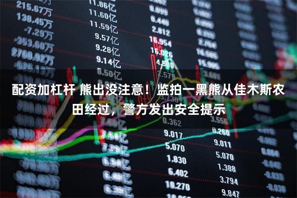配资加杠杆 熊出没注意！监拍一黑熊从佳木斯农田经过，警方发出安全提示